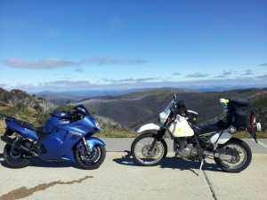 Birdy & Daisy at Hotham