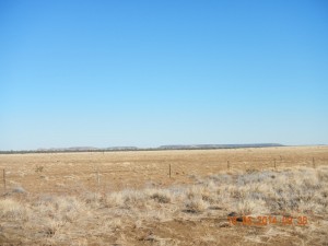 Very windy on the way to Winton