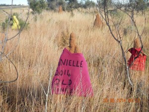 Finke Termite Mound Family...lol