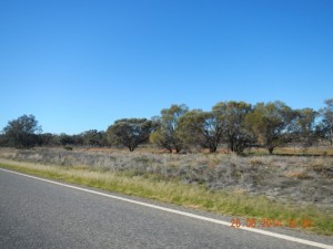 another scenery shot. May as well since I'd stopped to talk to the road crew.