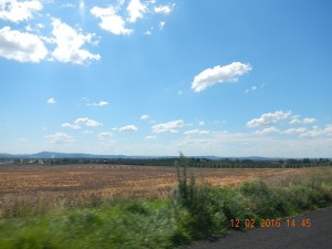 between Mudgee & Dunedoo